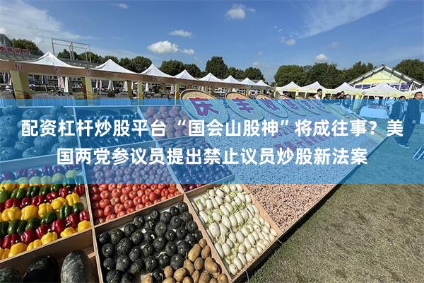 配资杠杆炒股平台 “国会山股神”将成往事？美国两党参议员提出禁止议员炒股新法案