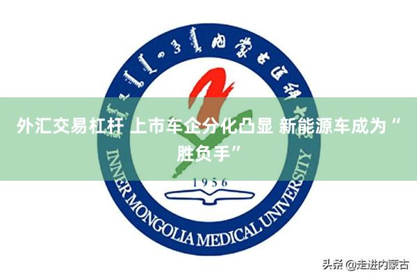 外汇交易杠杆 上市车企分化凸显 新能源车成为“胜负手”