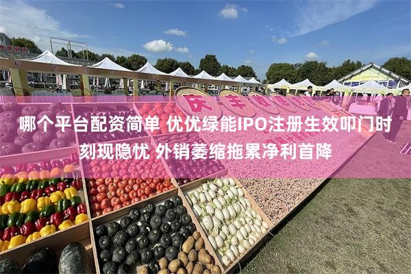 哪个平台配资简单 优优绿能IPO注册生效叩门时刻现隐忧 外销萎缩拖累净利首降