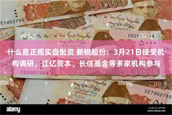 什么是正规实盘配资 新锐股份：3月21日接受机构调研，江亿资本、长信基金等多家机构参与