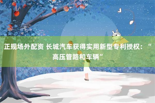正规场外配资 长城汽车获得实用新型专利授权：“高压管路和车辆”