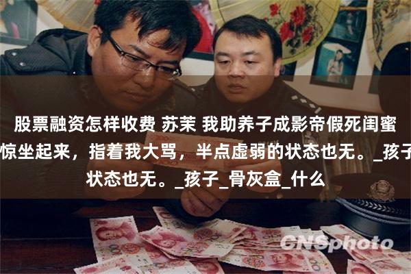 股票融资怎样收费 苏茉 我助养子成影帝假死闺蜜却悔疯了 段欢惊坐起来，指着我大骂，半点虚弱的状态也无。_孩子_骨灰盒_什么