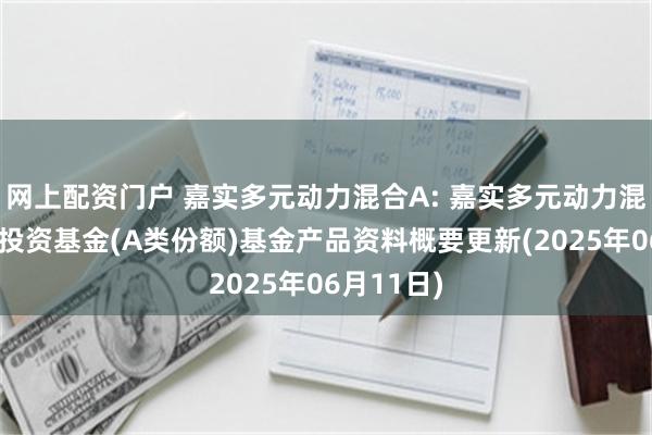 网上配资门户 嘉实多元动力混合A: 嘉实多元动力混合型证券投资基金(A类份额)基金产品资料概要更新(2025年06月11日)
