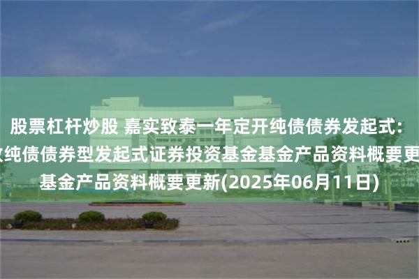 股票杠杆炒股 嘉实致泰一年定开纯债债券发起式: 嘉实致泰一年定期开放纯债债券型发起式证券投资基金基金产品资料概要更新(2025年06月11日)