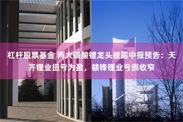 杠杆股票基金 两大碳酸锂龙头披露中报预告：天齐锂业扭亏为盈，赣锋锂业亏损收窄