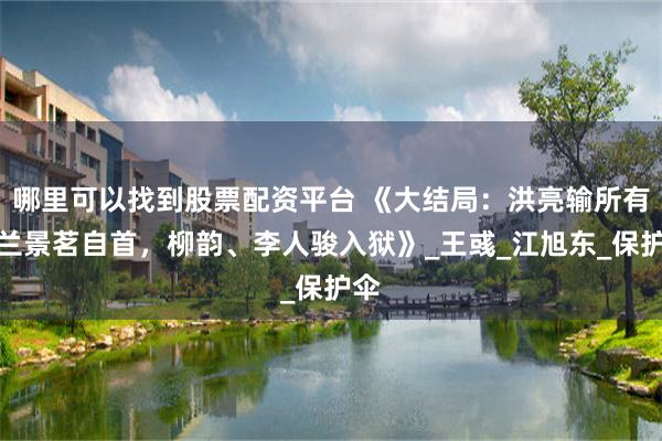哪里可以找到股票配资平台 《大结局：洪亮输所有，兰景茗自首，柳韵、李人骏入狱》_王彧_江旭东_保护伞