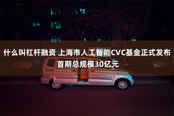 什么叫杠杆融资 上海市人工智能CVC基金正式发布 首期总规模30亿元