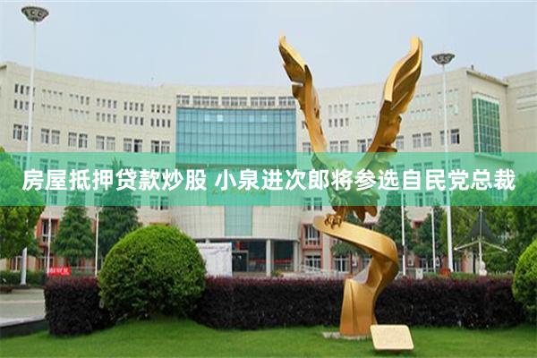 房屋抵押贷款炒股 小泉进次郎将参选自民党总裁