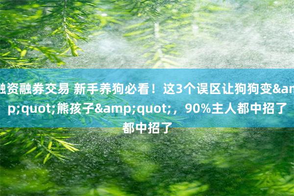 融资融券交易 新手养狗必看！这3个误区让狗狗变&quot;熊孩子&quot;，90%主人都中招了