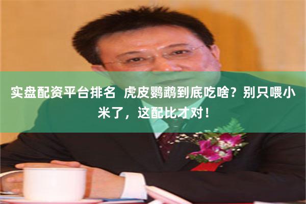 实盘配资平台排名  虎皮鹦鹉到底吃啥？别只喂小米了，这配比才对！